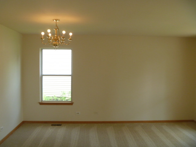 1419 Eliot Trl, Elgin, IL 60120 photo 4