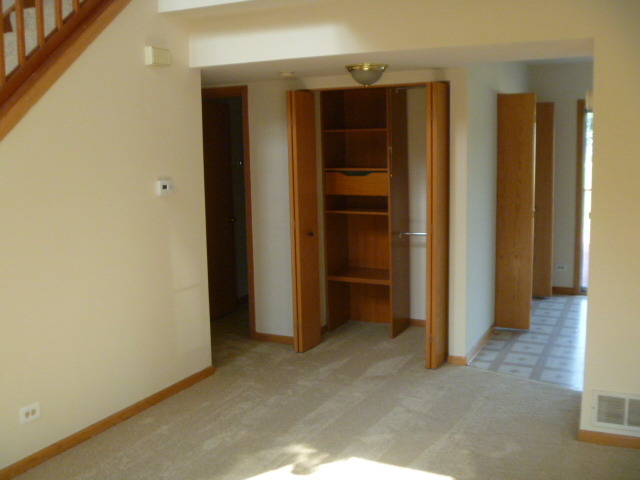 1419 Eliot Trl, Elgin, IL 60120 photo 3