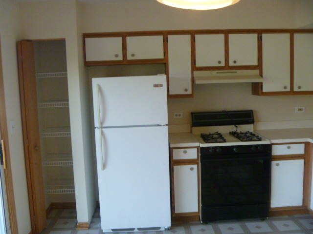 1419 Eliot Trl, Elgin, IL 60120 photo 5