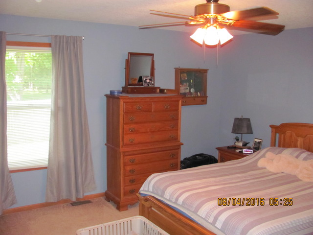 468 W 3rd St, Braidwood, IL 60408 photo 14