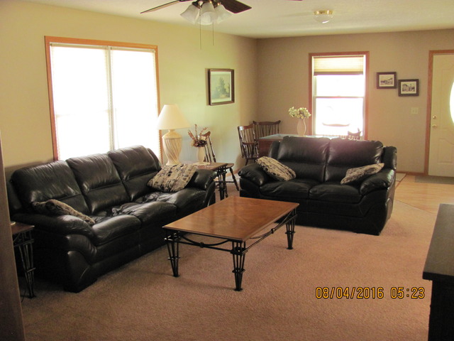468 W 3rd St, Braidwood, IL 60408 photo 11