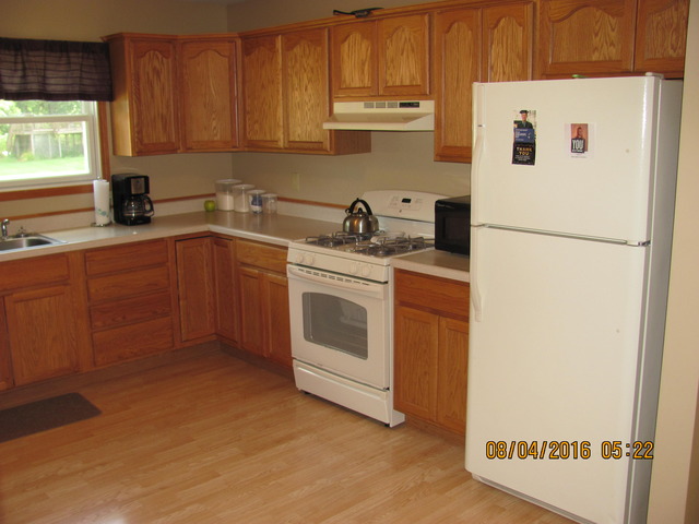 468 W 3rd St, Braidwood, IL 60408 photo 6