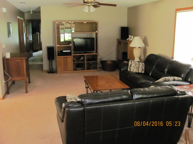468 W 3rd St, Braidwood, IL 60408 photo 10