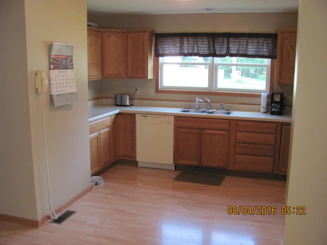 468 W 3rd St, Braidwood, IL 60408 photo 7