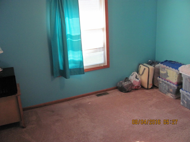468 W 3rd St, Braidwood, IL 60408 photo 18