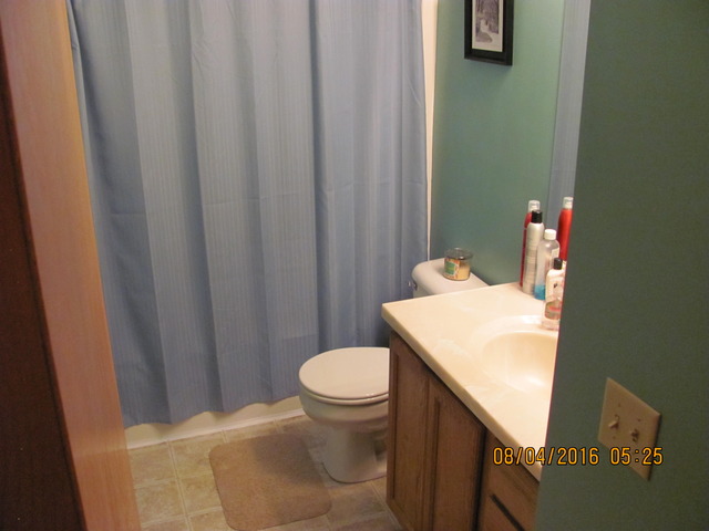 468 W 3rd St, Braidwood, IL 60408 photo 12