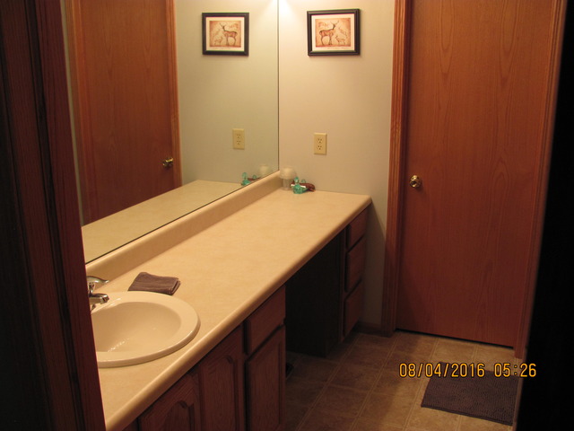 468 W 3rd St, Braidwood, IL 60408 photo 16