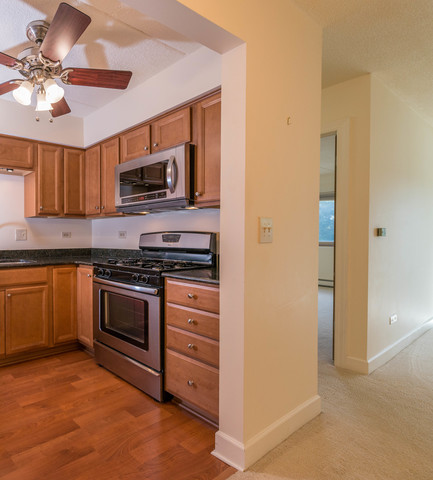 100 W Park Circle Dr #2C, Wheaton, IL 60187 photo 8