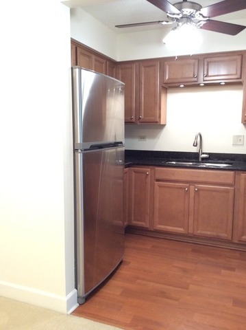 100 W Park Circle Dr #2C, Wheaton, IL 60187 photo 9