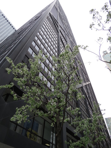175 E Delaware Pl #9107, Chicago, IL 60611 photo 1