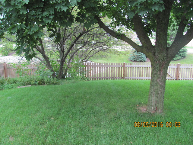 1910 Steward Ln, Plainfield, IL 60586 photo 3