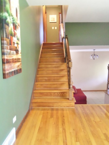 152 Kathleen Dr, Elgin, IL 60123 photo 9