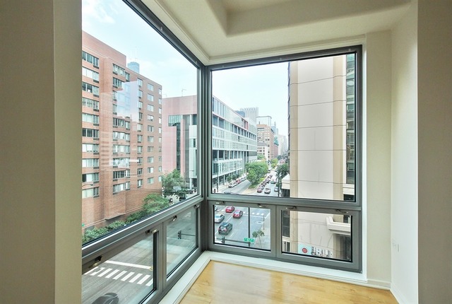 1 E 8th St #408, Chicago, IL 60605 photo 11