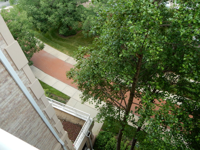 1731 Pavilion Way #503, Park Ridge, IL 60068 photo 11