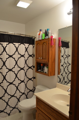 1 N110 Purnell St, Carol Stream, IL 60188 photo 9