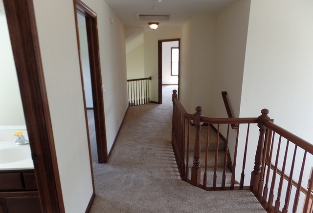 13153 Brooklands Ln, Plainfield, IL 60585 photo 9
