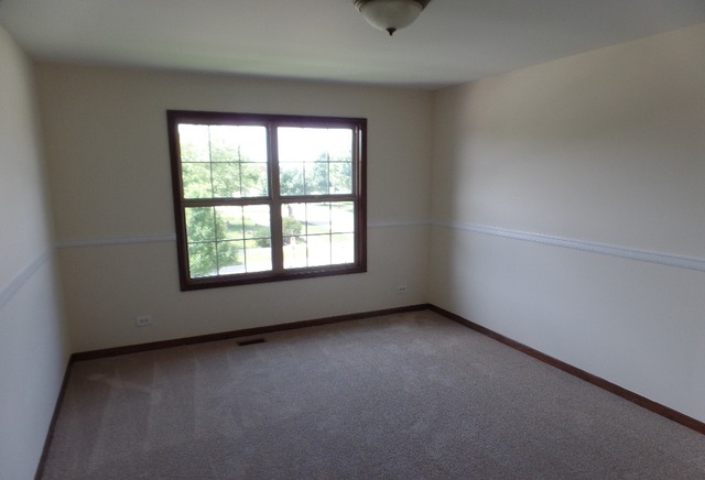 13153 Brooklands Ln, Plainfield, IL 60585 photo 10