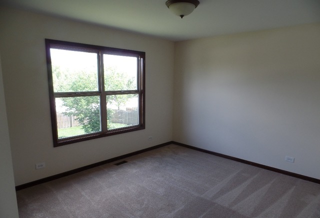 13153 Brooklands Ln, Plainfield, IL 60585 photo 14