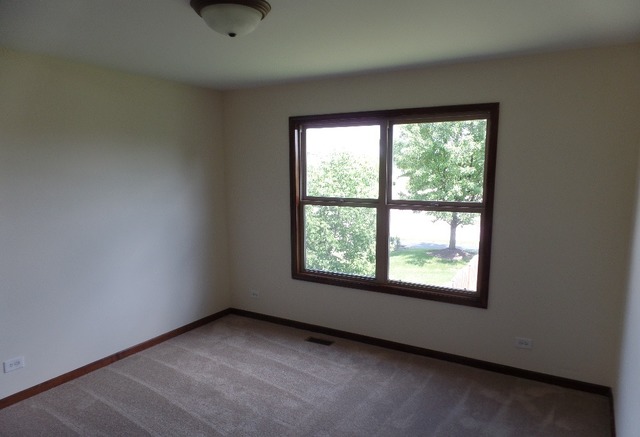13153 Brooklands Ln, Plainfield, IL 60585 photo 12