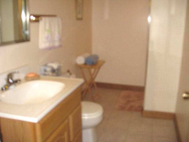 446 Home Ave, Itasca, IL 60143 photo 11