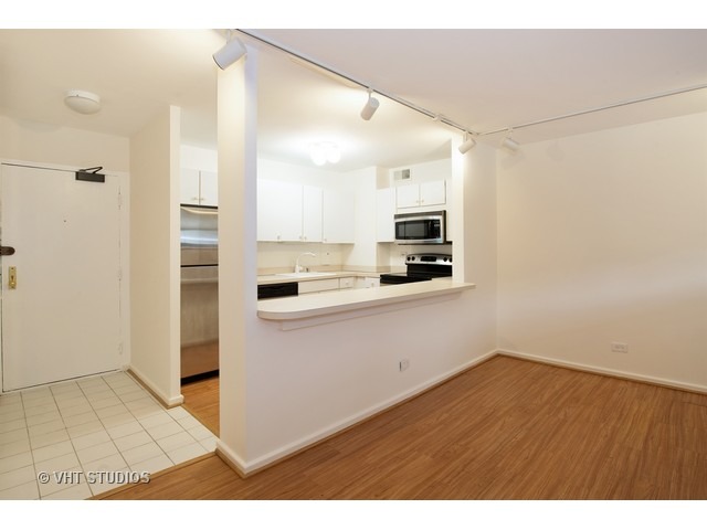 33 E Cedar St #3B, Chicago, IL 60611 photo 4
