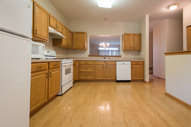 21462 W Douglas Ln, Plainfield, IL 60544 photo 8
