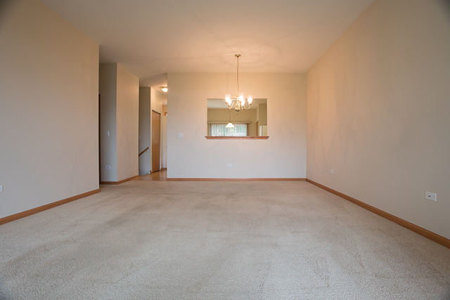 21462 W Douglas Ln, Plainfield, IL 60544 photo 7