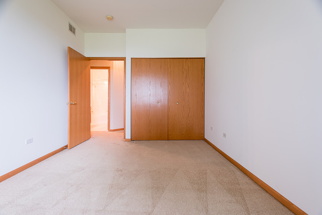 21462 W Douglas Ln, Plainfield, IL 60544 photo 15