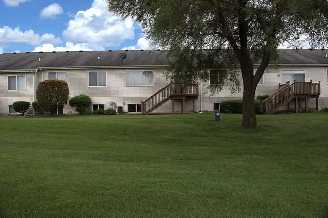 21462 W Douglas Ln, Plainfield, IL 60544 photo 4