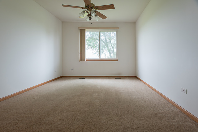 21462 W Douglas Ln, Plainfield, IL 60544 photo 11