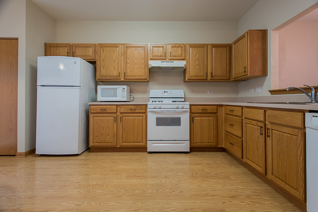 21462 W Douglas Ln, Plainfield, IL 60544 photo 9