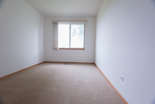 21462 W Douglas Ln, Plainfield, IL 60544 photo 14