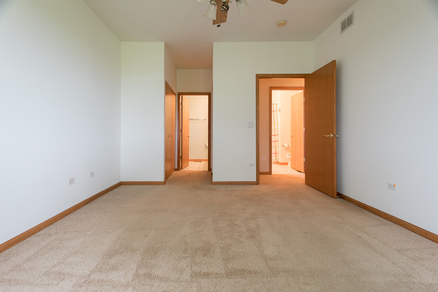 21462 W Douglas Ln, Plainfield, IL 60544 photo 12