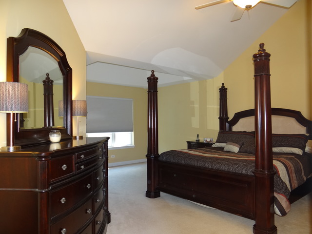 11906 Winterberry Ln, Plainfield, IL 60585 photo 17