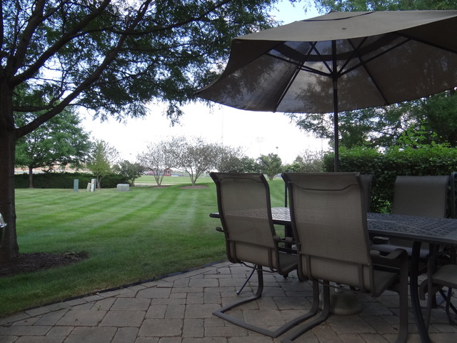 11906 Winterberry Ln, Plainfield, IL 60585 photo 3