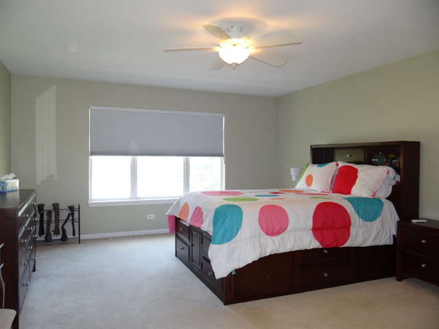 11906 Winterberry Ln, Plainfield, IL 60585 photo 21