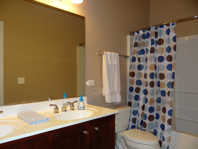 11906 Winterberry Ln, Plainfield, IL 60585 photo 23