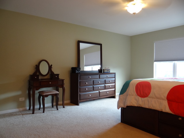 11906 Winterberry Ln, Plainfield, IL 60585 photo 22