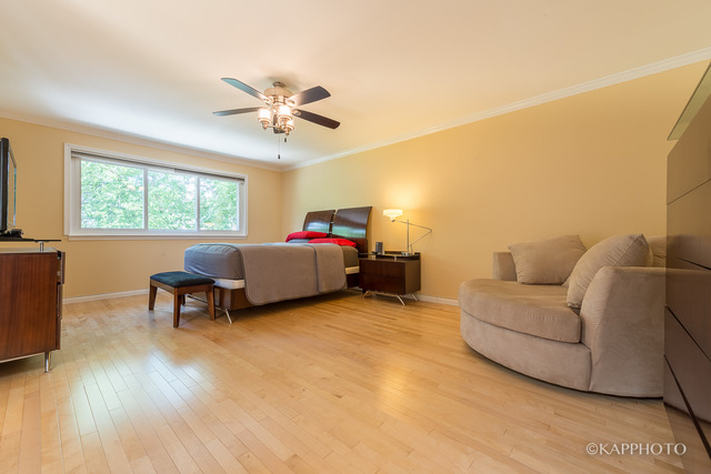 474 Sequoia Trl, Roselle, IL 60172 photo 11