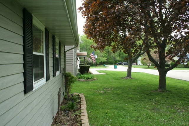 5221 Palm St, Mchenry, IL 60051 photo 14