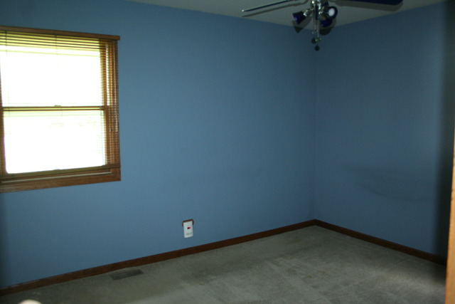 5221 Palm St, Mchenry, IL 60051 photo 8