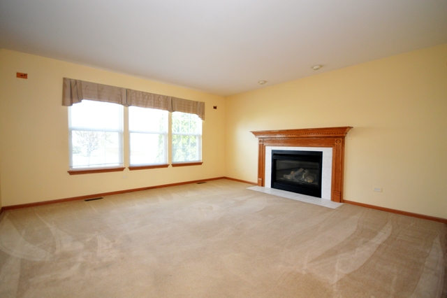 7427 Prairieside Dr, Plainfield, IL 60586 photo 7