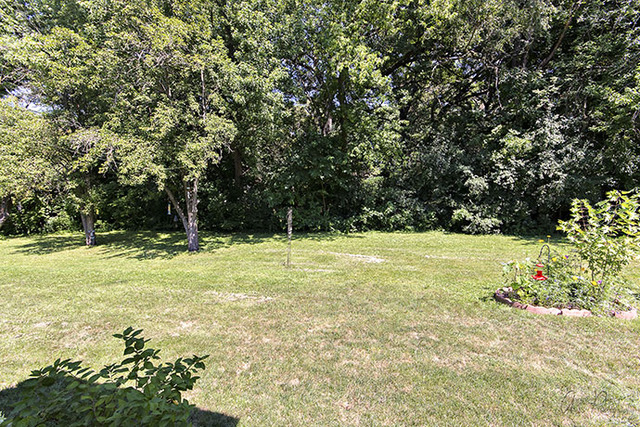 3118 River Park Dr, Johnsburg, IL 60051 photo 17