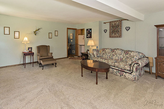 3118 River Park Dr, Johnsburg, IL 60051 photo 5