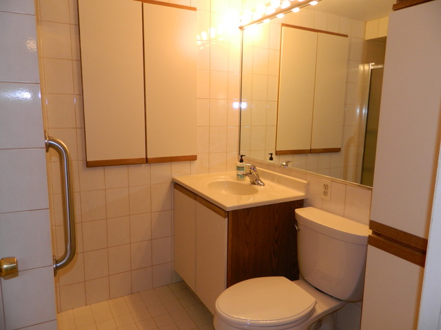 2231 Pine St, Des Plaines, IL 60018 photo 14