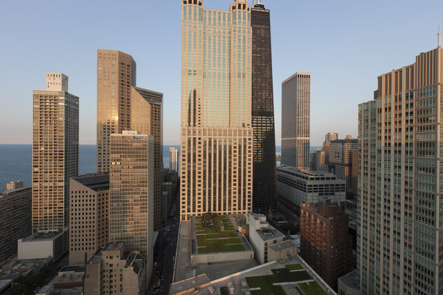 11 E Walton St #3602, Chicago, IL 60611 photo 20