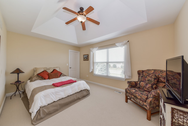 26662 Lindengate Cir, Plainfield, IL 60585 photo 21
