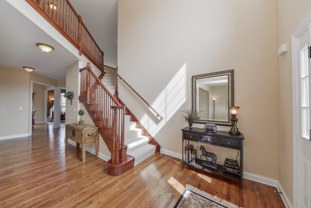 26662 Lindengate Cir, Plainfield, IL 60585 photo 2