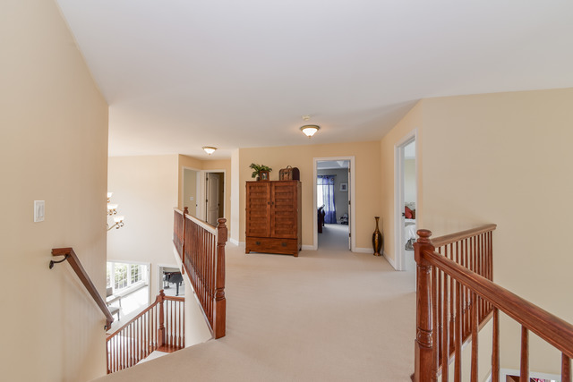26662 Lindengate Cir, Plainfield, IL 60585 photo 17