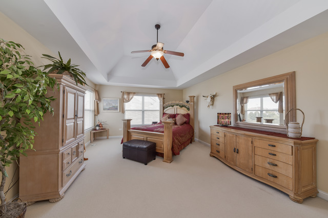 26662 Lindengate Cir, Plainfield, IL 60585 photo 14